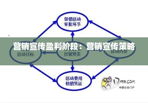 营销宣传盈利阶段：营销宣传策略 