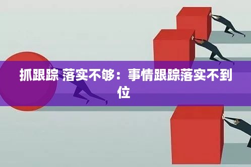 抓跟踪 落实不够：事情跟踪落实不到位 