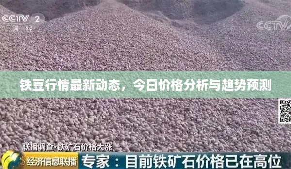 铁豆行情最新动态，今日价格分析与趋势预测