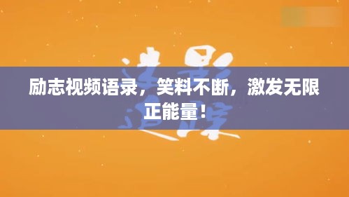 衣不完采 第2页