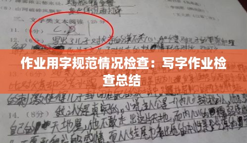 作业用字规范情况检查：写字作业检查总结 