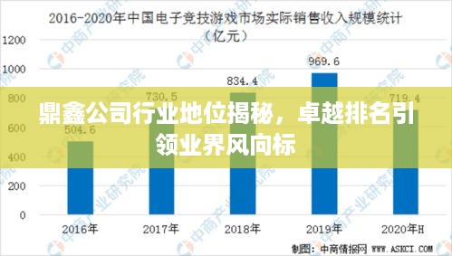 鼎鑫公司行业地位揭秘，卓越排名引领业界风向标