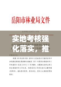 实地考核强化落实，推动工作见实效进展