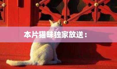 本片猫昧独家放送： 