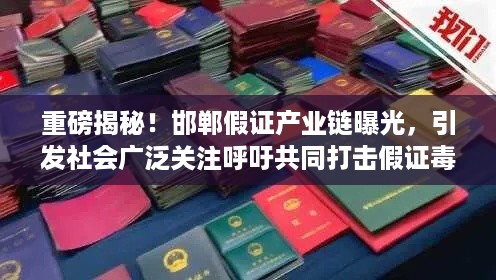 重磅揭秘！邯郸假证产业链曝光，引发社会广泛关注呼吁共同打击假证毒瘤