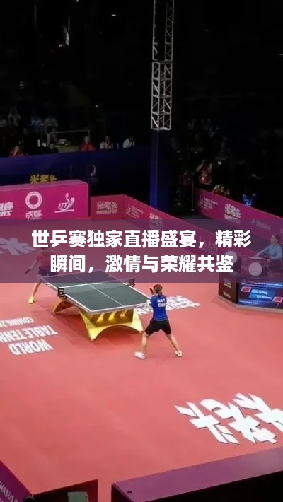 世乒赛独家直播盛宴，精彩瞬间，激情与荣耀共鉴