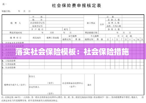落实社会保险模板：社会保险措施 