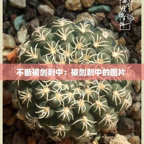 不断被剑刺中：被剑刺中的图片 
