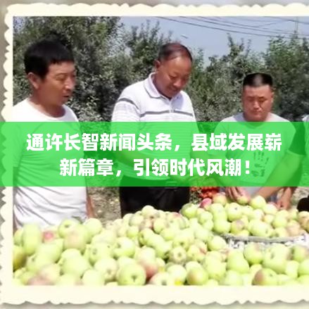 通许长智新闻头条，县域发展崭新篇章，引领时代风潮！