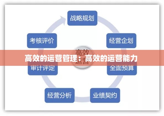 高效的运营管理：高效的运营能力 