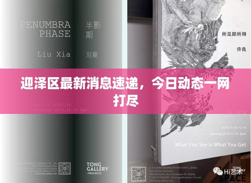 迎泽区最新消息速递，今日动态一网打尽