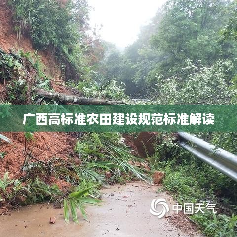 百不一遇 第2页
