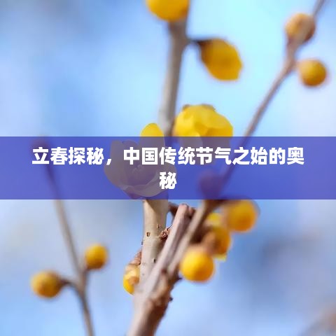 立春探秘，中国传统节气之始的奥秘