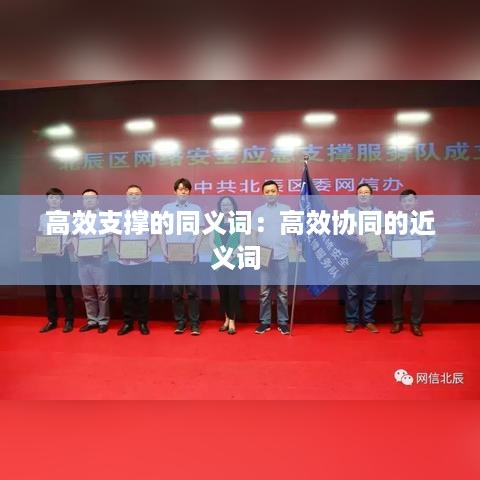 高效支撑的同义词：高效协同的近义词 