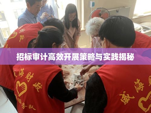 招标审计高效开展策略与实践揭秘