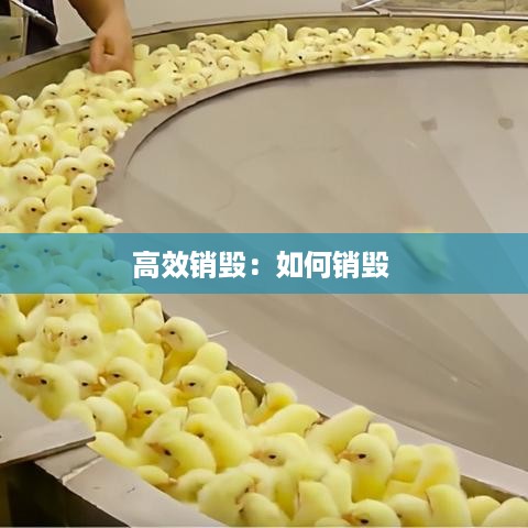 对答如流 第2页