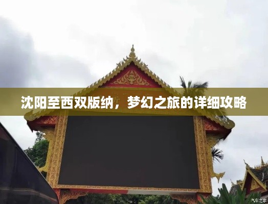 沈阳至西双版纳，梦幻之旅的详细攻略