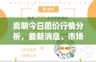 嵩明今日菌价行情分析，最新消息、市场走势及影响因素探讨