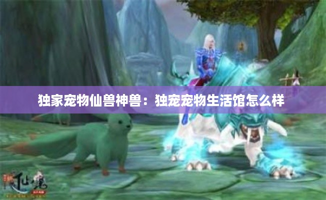独家宠物仙兽神兽：独宠宠物生活馆怎么样 