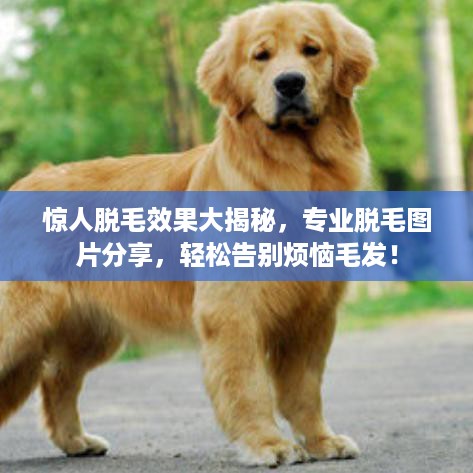 拾金不昧 第2页