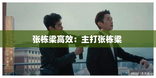 张栋梁高效：主打张栋梁 