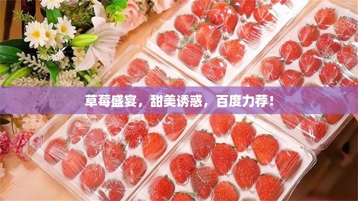 草莓盛宴，甜美诱惑，百度力荐！