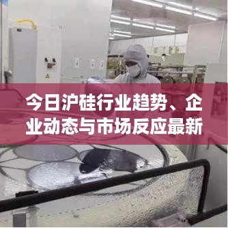 今日沪硅行业趋势、企业动态与市场反应最新消息速递