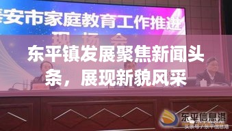 东平镇发展聚焦新闻头条，展现新貌风采