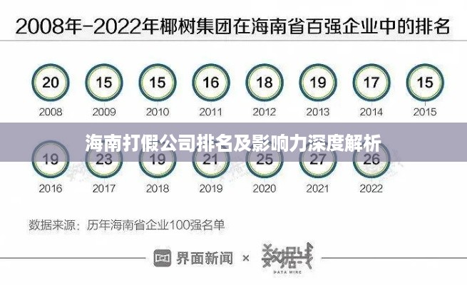 海南打假公司排名及影响力深度解析