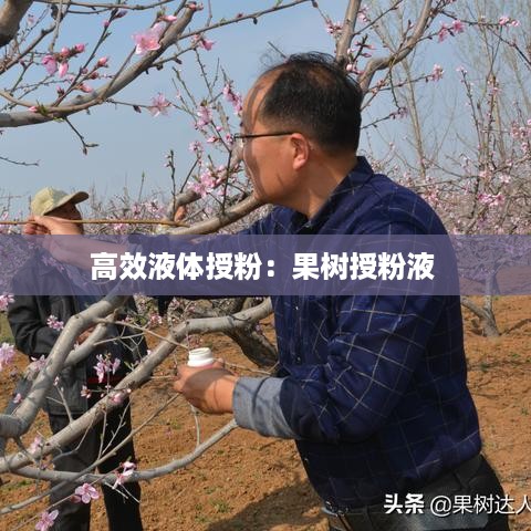 高效液体授粉：果树授粉液 