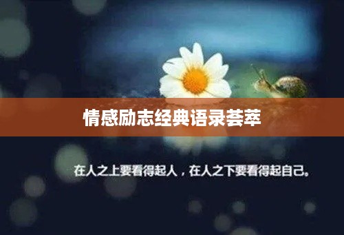 情感励志经典语录荟萃