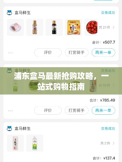 浦东盒马最新抢购攻略，一站式购物指南