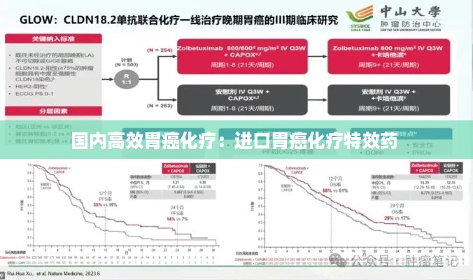 国内高效胃癌化疗：进口胃癌化疗特效药 