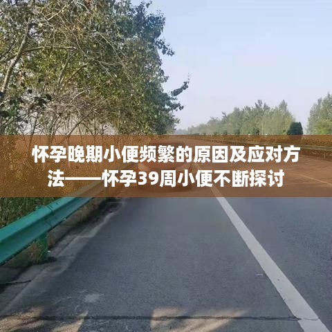 怀孕晚期小便频繁的原因及应对方法——怀孕39周小便不断探讨