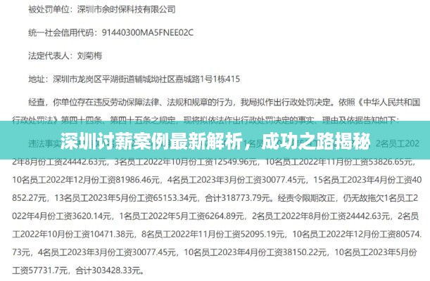 深圳讨薪案例最新解析，成功之路揭秘