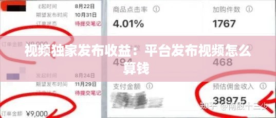 视频独家发布收益：平台发布视频怎么算钱 