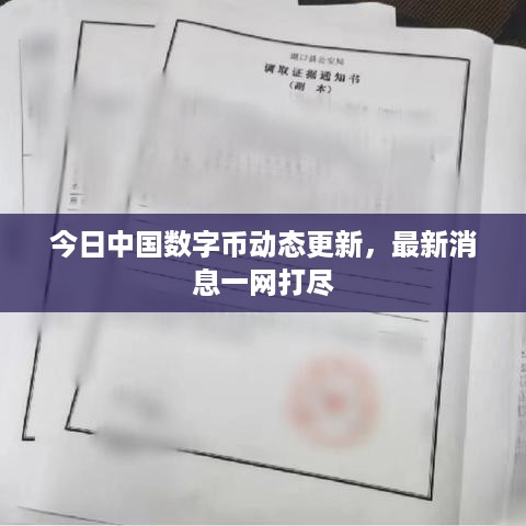 今日中国数字币动态更新，最新消息一网打尽
