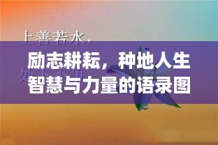 励志耕耘，种地人生智慧与力量的语录图欣赏