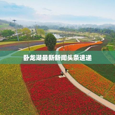 卧龙湖最新新闻头条速递