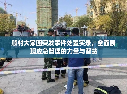 顾村大家园突发事件处置实录，全面展现应急管理的力量与智慧