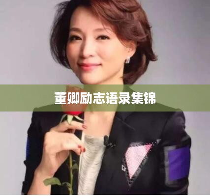 董卿励志语录集锦