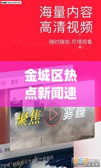 金城区热点新闻速递，最新头条消息一网打尽！