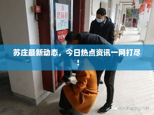 苏庄最新动态，今日热点资讯一网打尽！