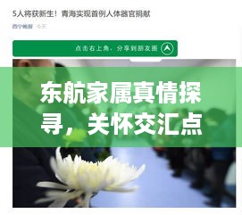 东航家属真情探寻，关怀交汇点深度报道