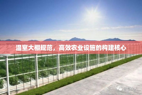 温室大棚规范，高效农业设施的构建核心
