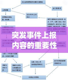 突发事件上报内容的重要性与规范流程解析