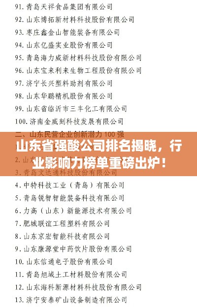 山东省强酸公司排名揭晓，行业影响力榜单重磅出炉！