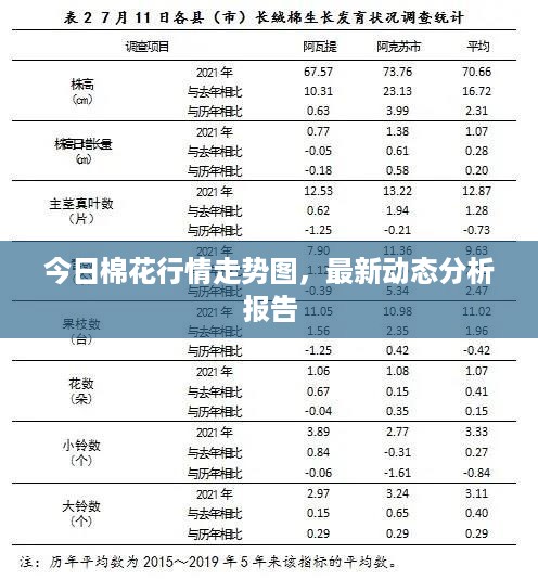 今日棉花行情走势图，最新动态分析报告