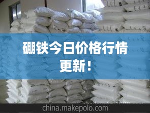 硼铁今日价格行情更新！