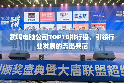武鸣电脑公司TOP10排行榜，引领行业发展的杰出典范
